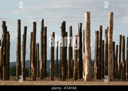 Woodhenge reconstruction at Woodbridge North Newnton Britain located in Stonehenge World ...