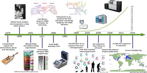 Frontiers | The Road to Metagenomics: From Microbiology to DNA ...