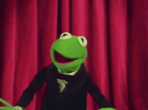 Muppets Muppet Show GIF - Muppets Muppet Show Kermit The Frog - Discover & Share GIFs