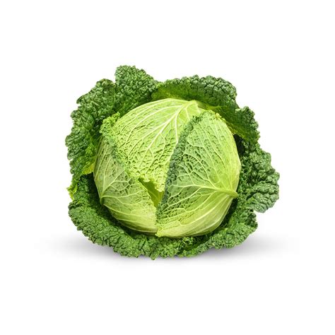 Savoy cabbage | Veggycation