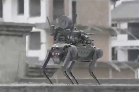 Terrifying video shows Chinese robot attack dog with machine gun dropped by drone - Forums