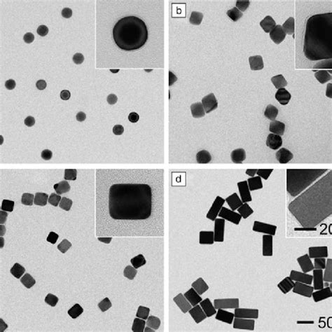 (PDF) Shape-controlled synthesis of metal nanocrystals