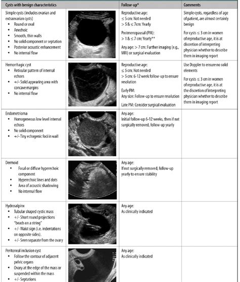 Ovarian Cyst F/U Guideline – Radiology.World