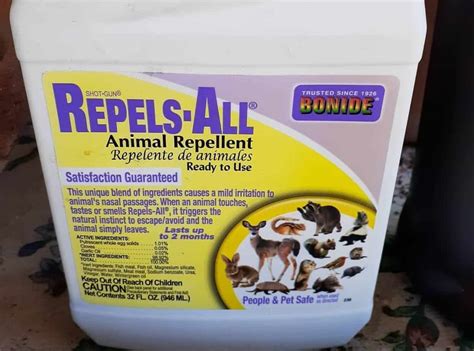 5 Best Raccoon Repellents in 2024 [Detailed Reviews]