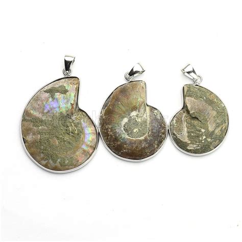 Wholesale Ammonite Fossil Pendant, Jewelry Supplies - Dearbeads