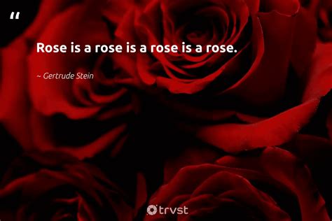 Quotes About Roses And Thorns - Hester Alejandrina