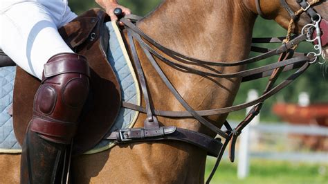 How To Measure A Saddle Seat English | Cabinets Matttroy