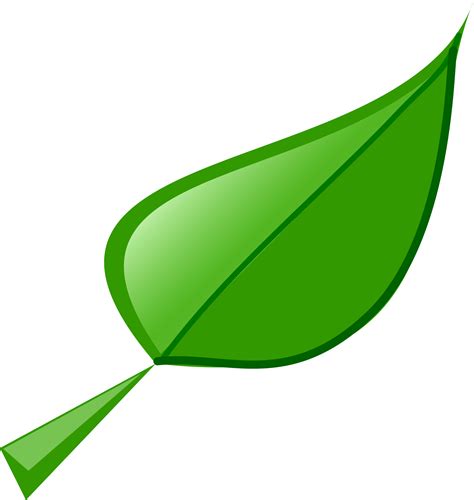 Clipart - Leaf