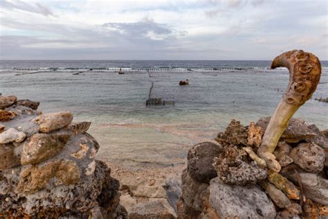 Seaweed Farm Indonesia Stock Photos, Pictures & Royalty-Free Images - iStock