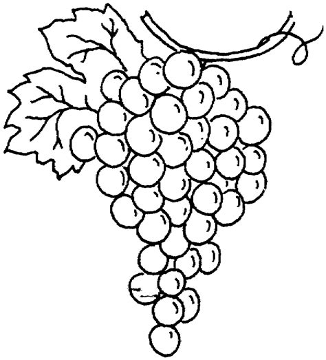 Free Grapes Clipart Black And White, Download Free Grapes Clipart Black ...