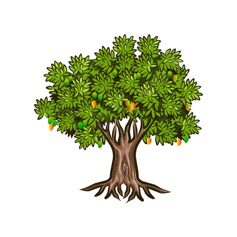 Mango Tree Fruit And Roots On A White Background Vector Illustration, Mango Tree, Clipart, Mango ...