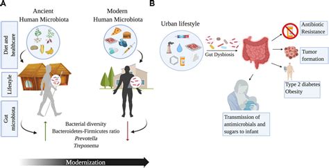 Human Microbiome Bacteria