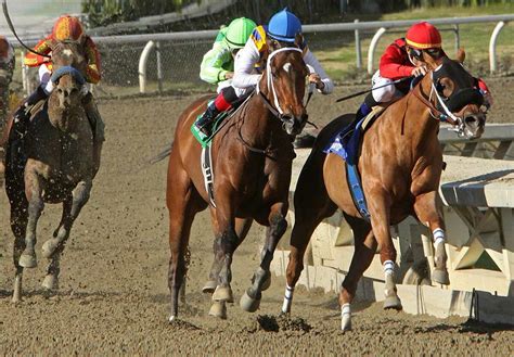 PREAKNESS STAKES - May 17, 2025 - National Today