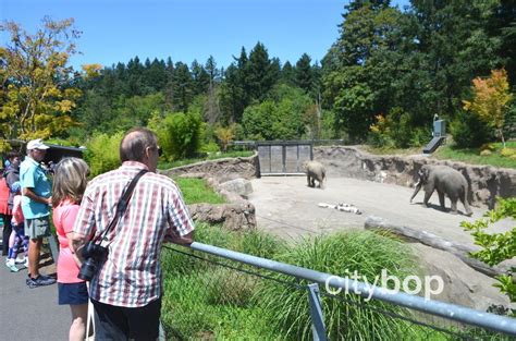 10 BEST Things to Do at Oregon Zoo - CityBOP