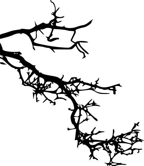 15 Tree Branch Silhouettes (PNG Transparent) | OnlyGFX.com