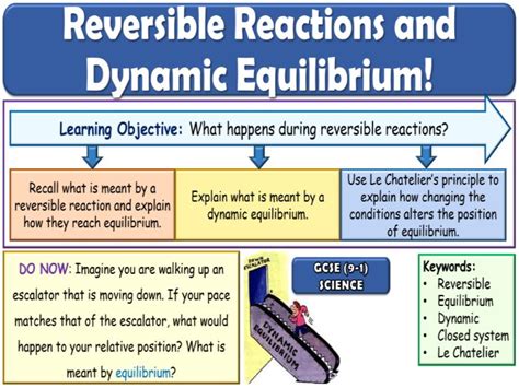 Reversible Reactions and Dynamic Equilibrium GCSE Chemistry | Teaching Resources