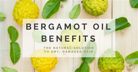 BERGAMOT OIL BENEFITS: The Natural Solution to Dry, Damaged Hair ...