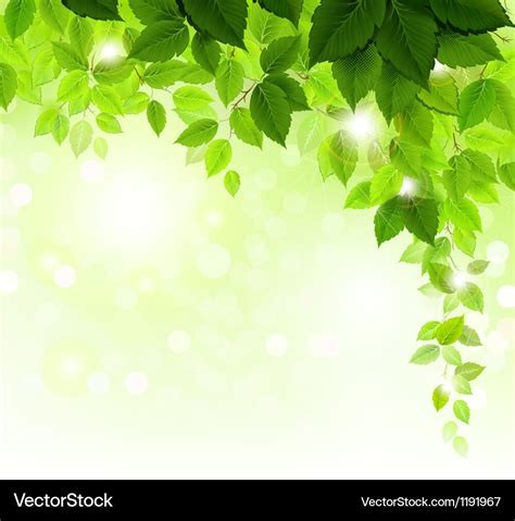 Green leaves Royalty Free Vector Image - VectorStock