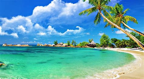 Awesome tropical beach, beach, seashore summer, nature, tropical, landscape, HD wallpaper | Peakpx