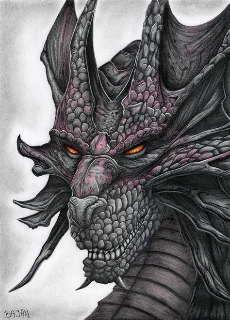 21+ Realistic Dragon Drawings | Free & Premium Creatives