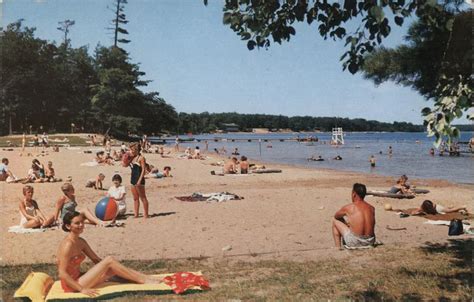 Interlochen State park Michigan Postcard