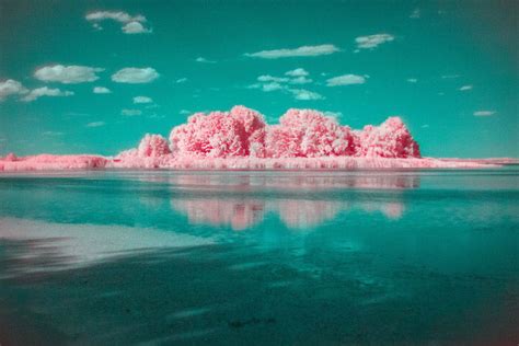 How to Do Infrared Photography With Basic Camera Gear