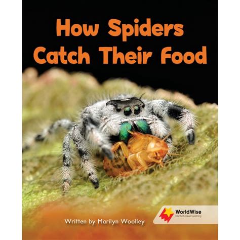 How Spiders Catch Their Food