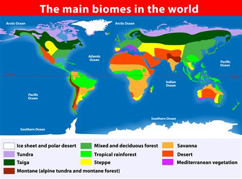 World Biome Map Coloring Worksheet – Zip Worksheet