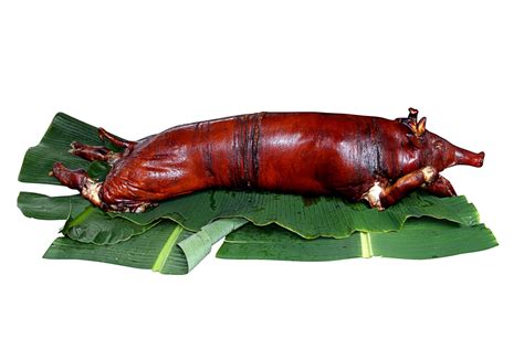 Lechon Baboy (Roast Pig) Free Photo Download | FreeImages