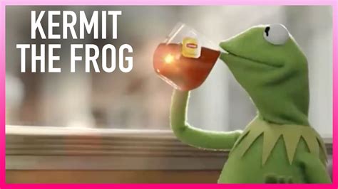 Watch The Kelly Clarkson Show Highlight: Kermit The Frog's Thoughts On That Sipping Tea Meme ...