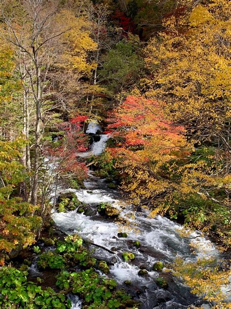 5 Best Spots for Beautiful Autumn Leaves in Eastern Hokkaido — My Eastern Hokkaido