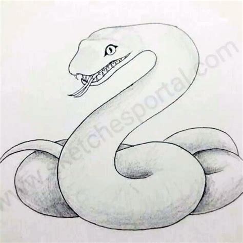 Easy Snake Drawings