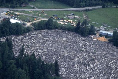 The Eruption of Mount St. Helens in pictures, 1980 - Rare Historical Photos