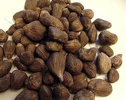 Palm kernel nut – havidad.com