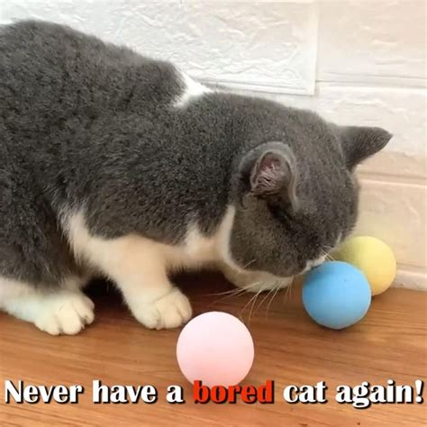 Active Rolling Ball With Sound [Video] [Video] in 2021 | Cat toys, Cat ...