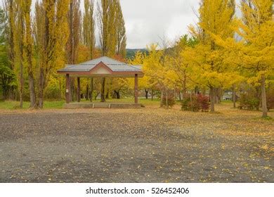 Historical Beautiful Manor Latvian Village Kazdanga Stock Photo 2260523585 | Shutterstock