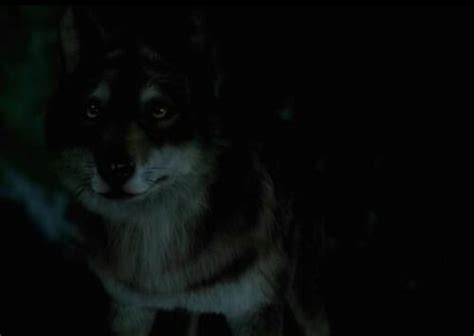 Maddy Smith / Gallery - Wolfblood Wiki - Wikia