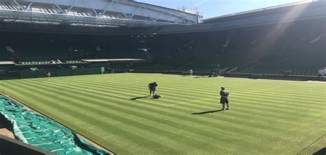 One-on-one: Wimbledon tennis: The secrets of keeping the grass playing surface in perfect shape ...