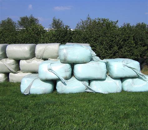 How To Make Silage? Easy Steps For Beginners!