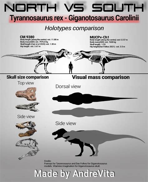 Tyrannosaurus rex (specimen CM 9380) vs Giganotosaurus Carolinii (specimen MUCPv-ch1( the ...