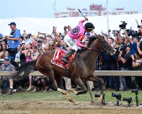 2020 Preakness Stakes Odds: Statistical Analysis, Historic Winners | Horse Racing News