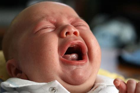 What Should You Do If A Baby's Crying Just Doesn't Sound Right? - LifeHack