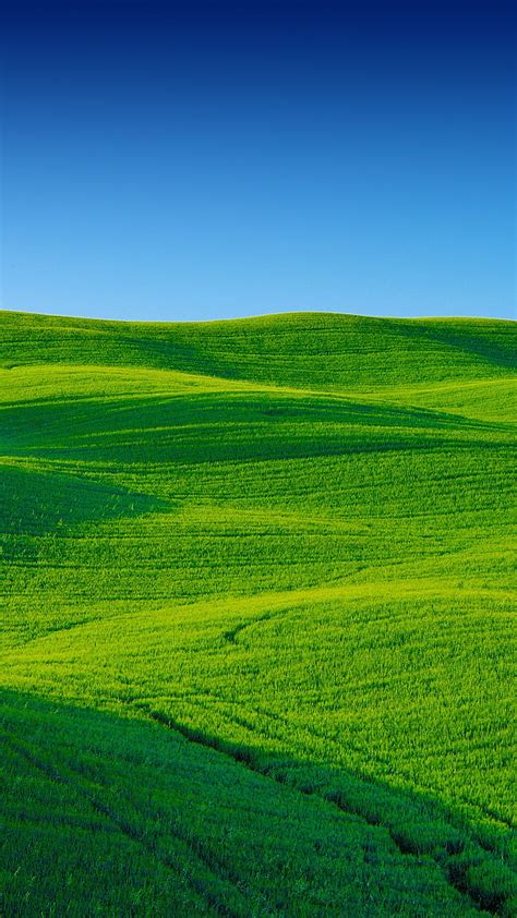 Green Field, grass, landscape, nature, graphy, scenery, sky, HD phone ...