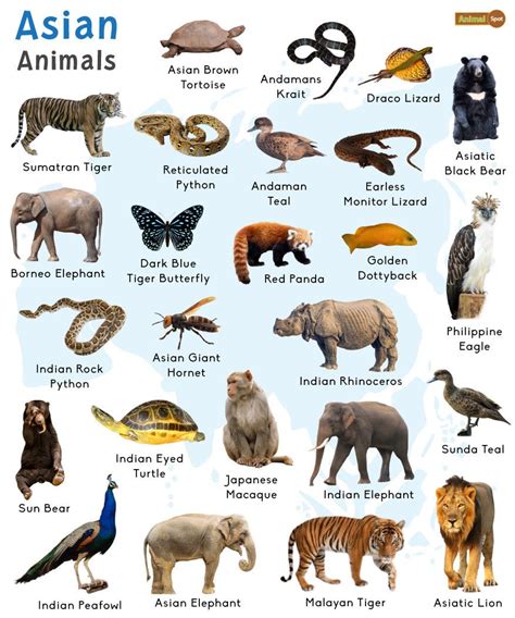 Endangered Animals In Asia