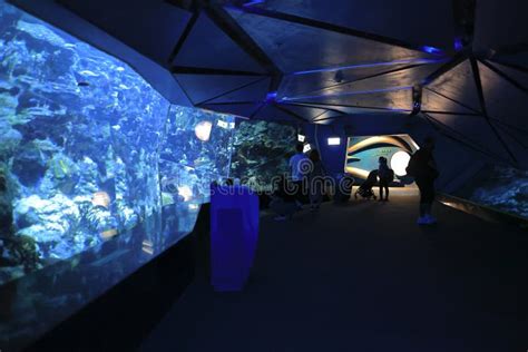 The Grand Aquarium in Ocean Park, Hong Kong 18 Nov 2021 Editorial Photography - Image of male ...