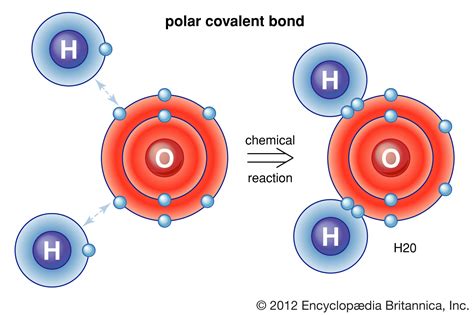 POLAR COVALENT BONDS on emaze