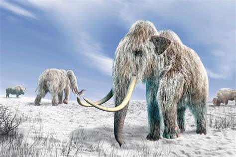 Controversial Theory on Extinction of Ice-Age Animals Supported by New ...