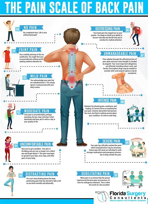 Lower Back Muscles Diagram Pain