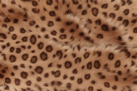 Cheetah Skin Texture Graphic by mimishop · Creative Fabrica