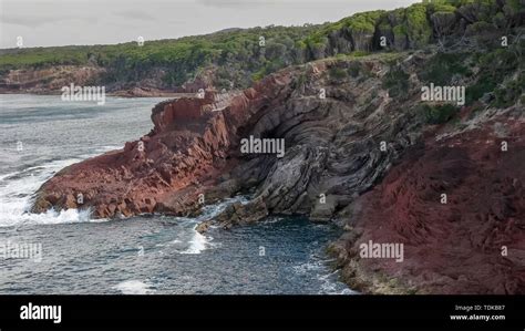 an anticlinal fold in sedimentary rock geology at eden in nsw ...